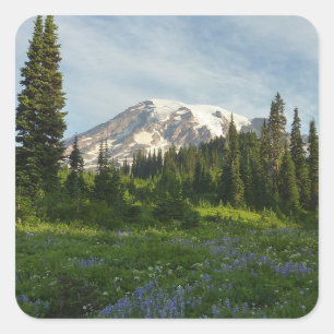 Mount Rainier Morgenlicht Quadratischer Aufkleber