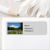 Mount Rainier N.P. (Insitu)