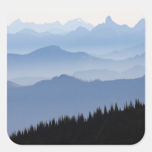 Mount Rainier National Park Cascade Mountains Quadratischer Aufkleber (Vorderseite)