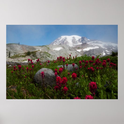 Mount Rainier National Park, Mount Rainier 1 Poster (Vorne)