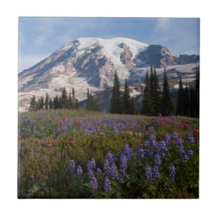 Mount Rainier National Park, Mount Rainier 3 Fliese