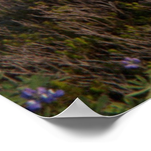 Mount Rainier National Park, Mount Rainier 3 Poster (Ecke)