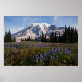 Mount Rainier National Park, Mount Rainier 3 Poster (Vorne)