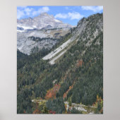 Mount Rainier National Park Scenic Canyon Poster (Vorne)