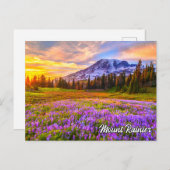 Mount Rainier National Park, Washington Postkarte (Vorne/Hinten)