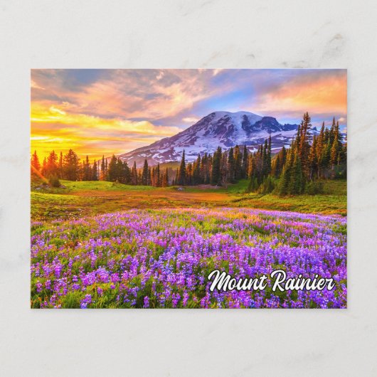 Mount Rainier National Park, Washington Postkarte (Vorderseite)