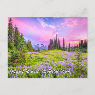 Mount Rainier National Park, Washington Postkarte