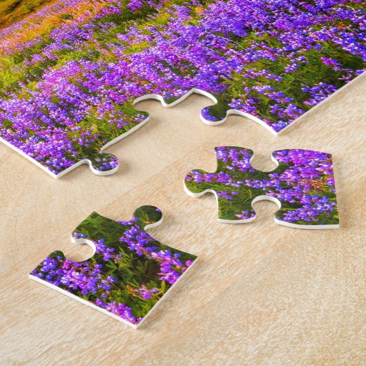 Mount Rainier National Park, Washington Puzzle (Seite)