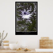 Mount Rainier National Park Washington Satellite Poster (Küche)