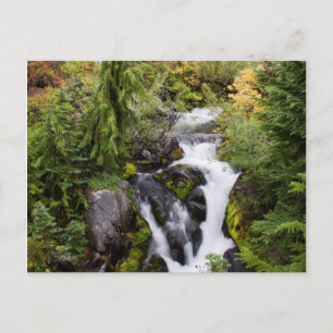 Mount Rainier Nationalpark, Herbstbach Postkarte
