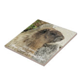 Mount Rainier Nationalpark Hoary Marmot Fliese (Seite)