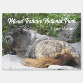 Mount Rainier Nationalpark Hoary Marmot Magnet (Vorderseite)