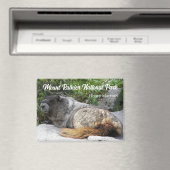 Mount Rainier Nationalpark Hoary Marmot Magnet (In Situ (Geschirrspüler))