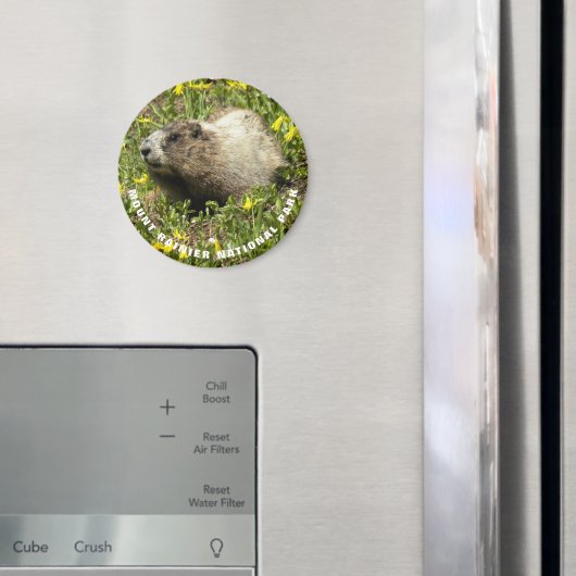 Mount Rainier Nationalpark Marmot Foto Magnet (In Situ (Kühlschrank))