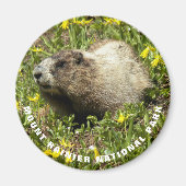 Mount Rainier Nationalpark Marmot Foto Magnet (Vorne)