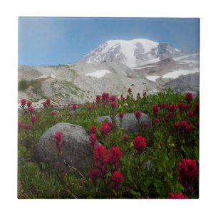 Mount Rainier Nationalpark, Mount Rainier 1 Fliese