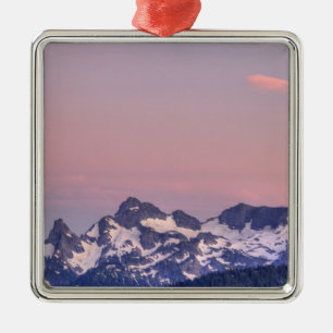 Mount Rainier Nationalpark, Sarvent-Gletscher Silbernes Ornament
