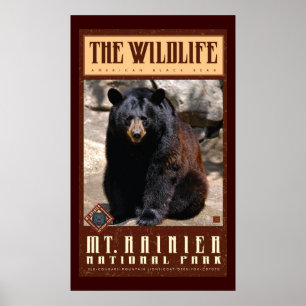 Mount Rainier Nat'l Park Poster