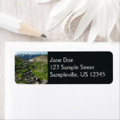 Mount Rainier Panorama Point (Insitu)