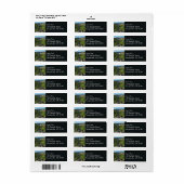 Mount Rainier Panorama Point (Vorne)