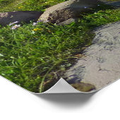 Mount Rainier Panorama Point Poster (Ecke)