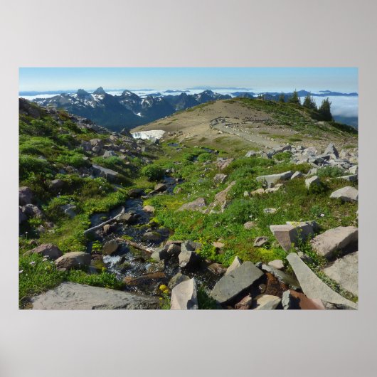 Mount Rainier Panorama Point Poster (Vorne)