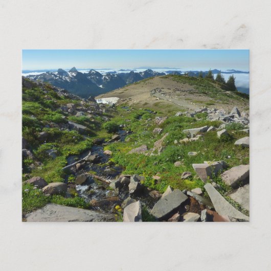 Mount Rainier Panorama Point Postkarte (Vorderseite)