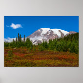 Mount Rainier Poster (Vorne)