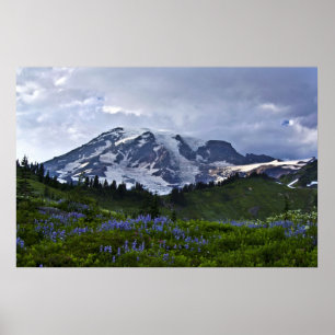 Mount Rainier Poster