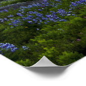 Mount Rainier Poster (Ecke)