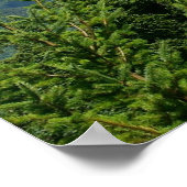 Mount Rainier Poster (Ecke)