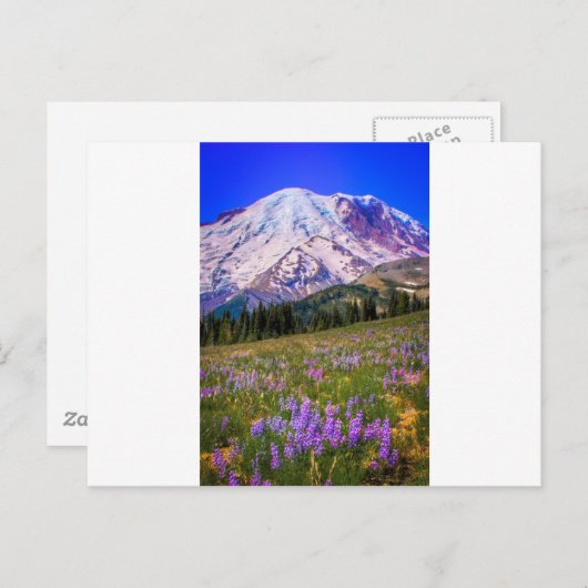 Mount Rainier Postkarte (Vorne/Hinten)