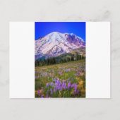 Mount Rainier Postkarte (Vorderseite)