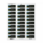 Mount Rainier Seereflektion mit Wildblumen (Vorne)