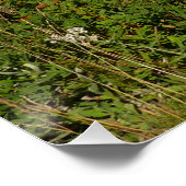 Mount Rainier Seereflektion mit Wildblumen Poster (Ecke)