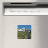 Mount Rainier Skyline Trail Aussicht Magnet (In Situ (Geschirrspüler))