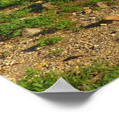 Mount Rainier Skyline Trail Aussicht Poster (Ecke)