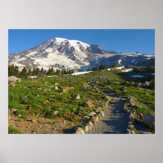 Mount Rainier Skyline Trail Aussicht Poster (Vorne)