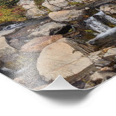 Mount Rainier und Edith Creek Fotodruck (Ecke)