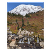 Mount Rainier und Edith Creek Fotodruck (Vorne)