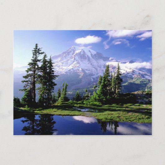 Mount Rainier Washington Postkarte (Vorderseite)