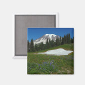 Mount Rainier, Wildblumen und Schnee Magnet (Vorderseite/Rückseite)