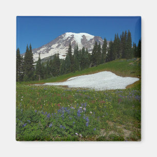Mount Rainier, Wildblumen und Schnee Magnet