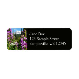 Mount Rainier zwischen lila Phlox-Blumen