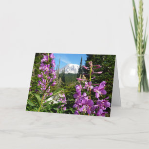 Mount Rainier zwischen lila Phlox-Blumen Karte