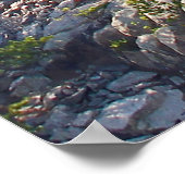 Mount Rushmore National Memorial, South Dakota Poster (Ecke)