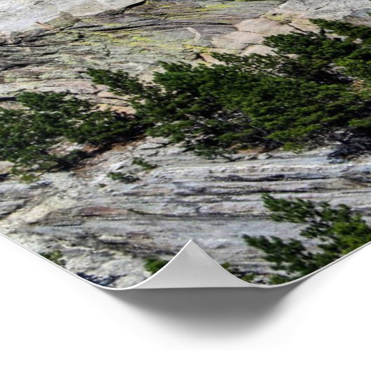 Mount Rushmore Poster (Ecke)