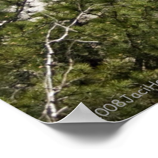 Mount Rushmore Poster (Ecke)