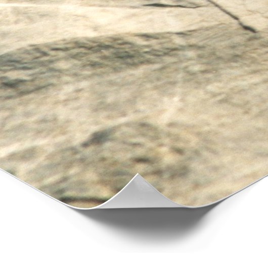 Mount Rushmore Poster (Ecke)