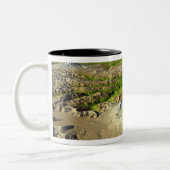 Mount Saint Helens Zweifarbige Tasse (Links)